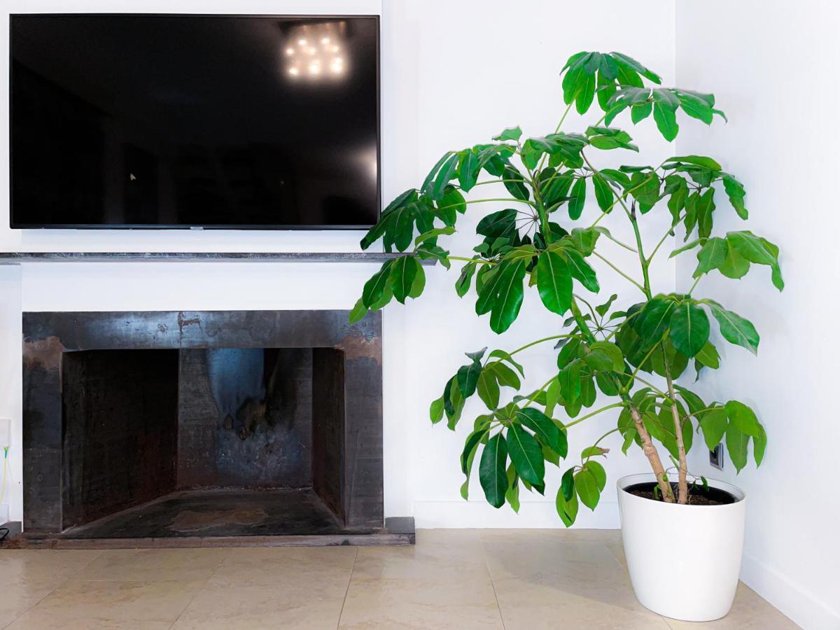 Villa Haygon Private Heated Pool, Bbq & Sauna San Vicente Raspeig Bagian luar foto